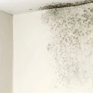 Penetrating Damp London