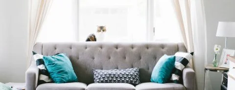 Rising damp specialists london