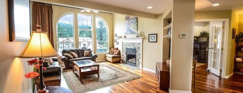 Timber & Woodworm Treatment