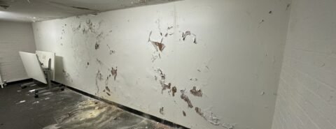 Basement Tanking London